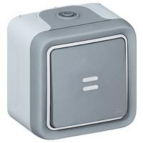 Legrand - 69722 - Plexo™ IP55 Push Button Rocker Switch 2-Way 10A/250V w/ Indicator illuminated Surface Mount Grey.