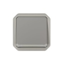 Legrand - 069530L - Plexo™ IP55 Switch 10A 250V Double pole Mechanism Flush Mount Grey.