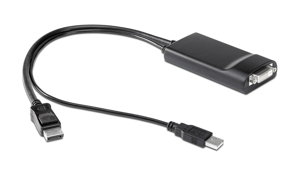 HP - NR078AA - DisplayPort to Dual Link DVI Adaptor